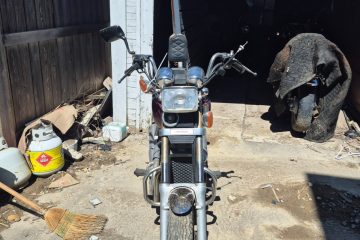 Honda: Shadow